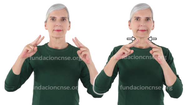 Nombre del artista Duccio di Buoninsegna en Lengua de Signos Española Signado del nombre Duccio di Buoninsegna en Lengua de Signos Española