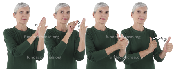 Calcar-copiar en Lengua de Signos Española Signado de la palabra calcar-copiar en Lengua de Signos Española