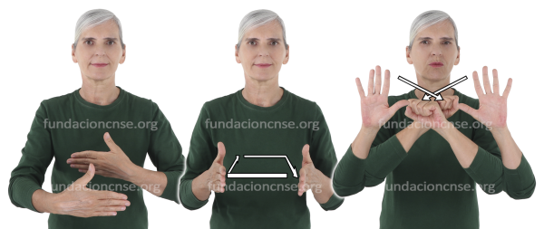 Cámara oscura en Lengua de Signos Española Signado de cámara oscura en Lengua de Signos Española