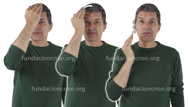 Nombre del artista Canaletto en Lengua de Signos Española Signado del nombre Canaletto en Lengua de Signos Española