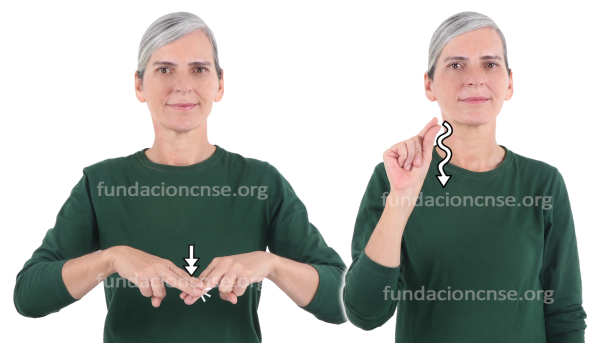 Carboncillo en Lengua de Signos Española Signado de la palabra carboncillo en Lengua de Signos Española