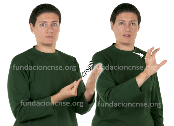 Caricatura en Lengua de Signos Española Signado de la palabra caricatura en Lengua de Signos Española