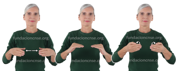 Cassone en Lengua de Signos Española Signado de la palabra cassone en Lengua de Signos Española