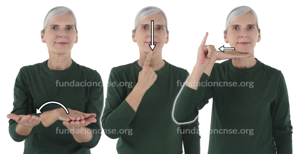 Cianotipia en Lengua de Signos Española Signado de la palabra cianotipia en Lengua de Signos Española