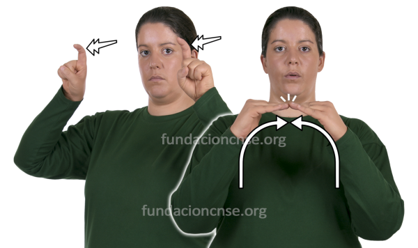 Coeducación en Lengua de Signos Española Signado de la palabra coeducación en Lengua de Signos Española