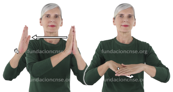 Colección en Lengua de Signos Española Signado de la palabra colección en Lengua de Signos Española