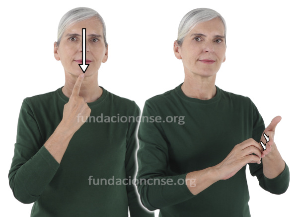 Collage en Lengua de Signos Española Signado de la palabra collage en Lengua de Signos Española