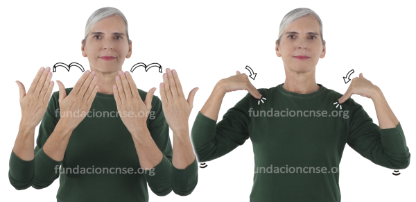 Comisaria - comisario en Lengua de Signos Española Signado de la palabra comisaria - comisario en Lengua de Signos Española