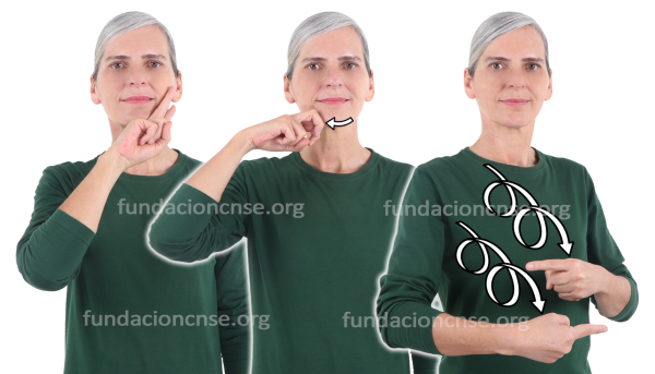 Conservador - conservadora en Lengua de Signos Española Signado de la palabra conservador-conservadora en Lengua de Signos Española