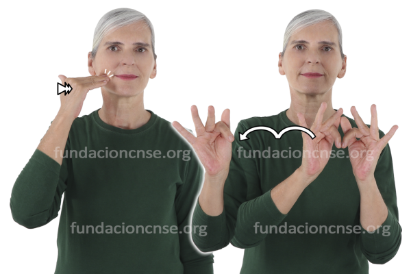 Cronología en Lengua de Signos Española Signado de la palabra cronología en Lengua de Signos Española