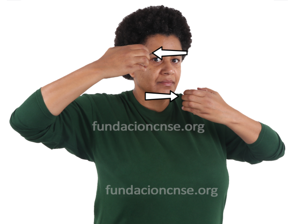 Cubismo en Lengua de Signos Española Signado de la palabra cubismo en Lengua de Signos Española