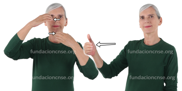 Cubofuturismo en Lengua de Signos Española Signado de la palabra cubofuturismo en Lengua de Signos Española