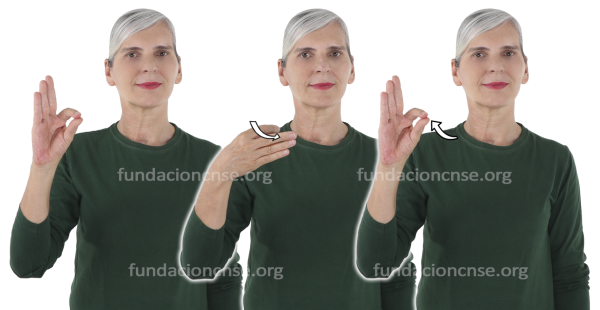 Nombre del artista Willem de Kooning en Lengua de Signos Española Signado del nombre Willem de Kooning en Lengua de Signos Española