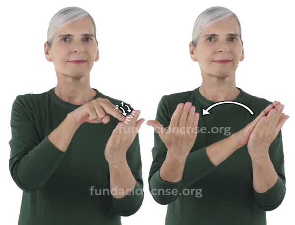 Decalcomanía en Lengua de Signos Española Signado de la palabra decalcomía en Lengua de Signos Española