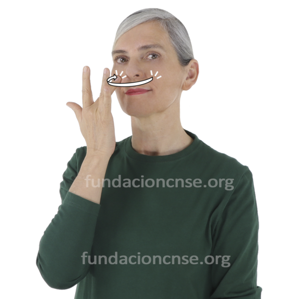 Nombre del artista Alberto Durero en Lengua de Signos Española Signado del nombre Alberto Durero en Lengua de Signos Española