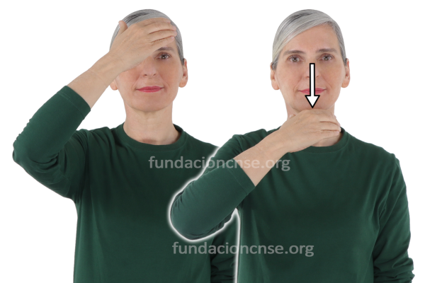 Nombre del artista El Greco en Lengua de Signos Española Signado del nombre El Greco en Lengua de Signos Española