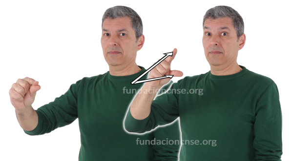 Escorzo en Lengua de Signos Española Signado de la palabra escorzo en Lengua de Signos Española