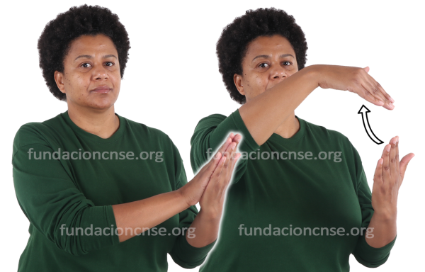 Estampación en Lengua de Signos Española Signado de la palabra estampación en Lengua de Signos Española