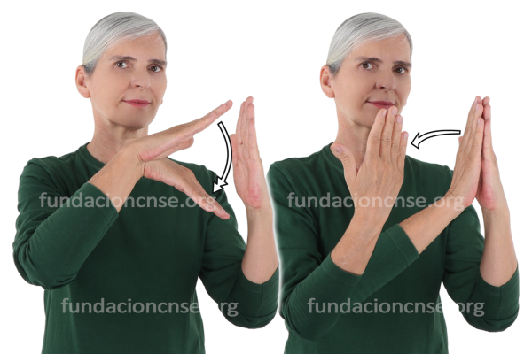 Estarcido en Lengua de Signos Española Signado de la palabra Estarcido en Lengua de Signos Española