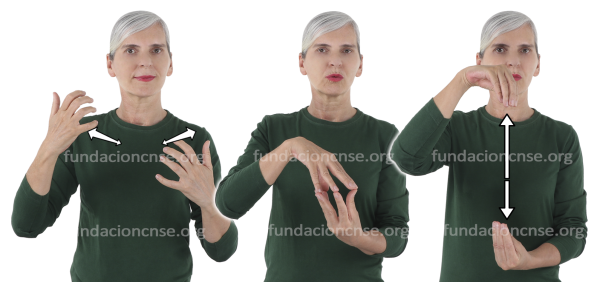 Estilización en Lengua de Signos Española Signado de la palabra estilización en Lengua de Signos Española