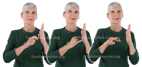 Estofado en Lengua de Signos Española Signado de la palabra estofado en Lengua de Signos Española