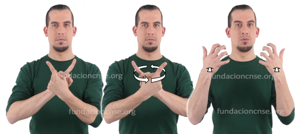 Fauvismo en Lengua de Signos Española Signado de la palabra Fauvismo en Lengua de Signos Española