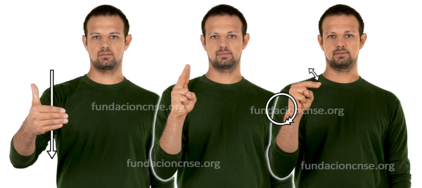 Fresco en Lengua de Signos Española Signado de la palabra fresco en Lengua de Signos Española