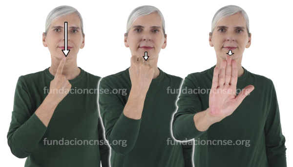 Frontalidad en Lengua de Signos Española Signado de la palabra frontallidad en Lengua de Signos Española