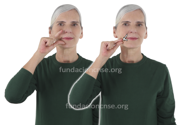 Nombre del artista Paul Gauguin en Lengua de Signos Española Signado del nombre Paul Gauguin en Lengua de Signos Española