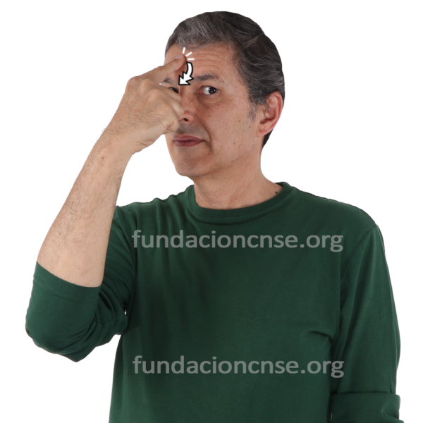 Nombre del artista Domenico Ghirlandaio en Lengua de Signos Española Signado del nombre Domenico Ghirlandaio en Lengua de Signos Española