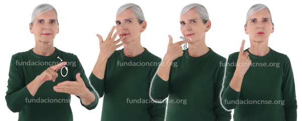 Grisalla en Lengua de Signos Española Signado de la palabra grisalla en Lengua de Signos Española