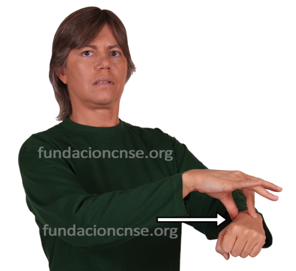 Guia en Lengua de Signos Española Signado de la palabra guia en Lengua de Signos Española