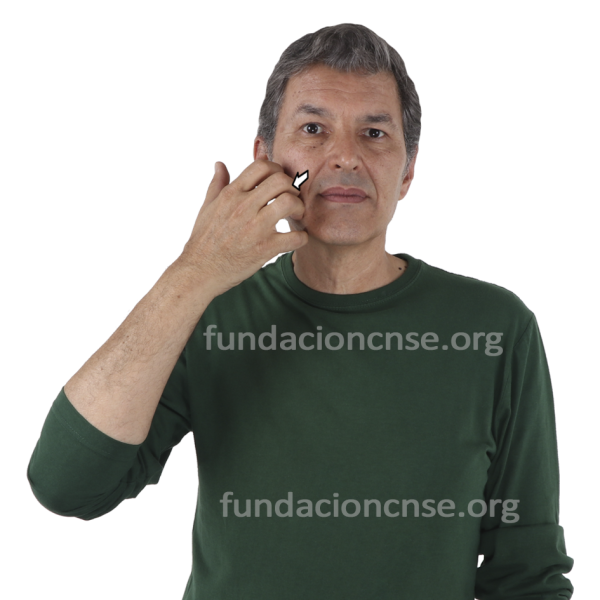 Nombre del artista Frans Hals en Lengua de Signos Española Signado del nombre Frans Hals en Lengua de Signos Española