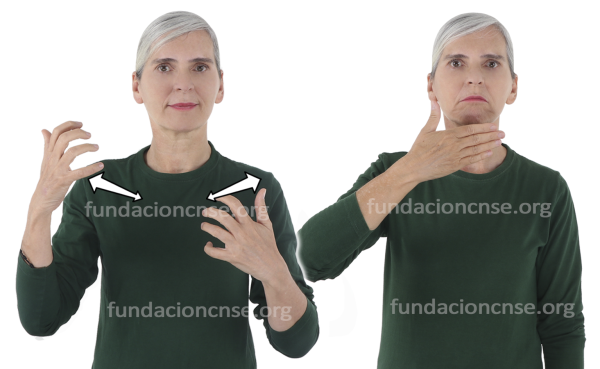 Hieratismo en Lengua de Signos Española Signado de la palabra hieratismo en Lengua de Signos Española