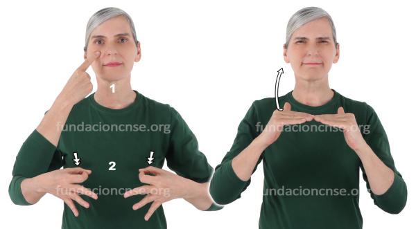 Hiperrealismo en Lengua de Signos Española Signado de la palabra Hiperrealismo en Lengua de Signos Española