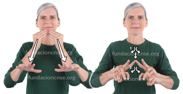 Historiografía en Lengua de Signos Española Signado de la palabra historiografía en Lengua de Signos Española