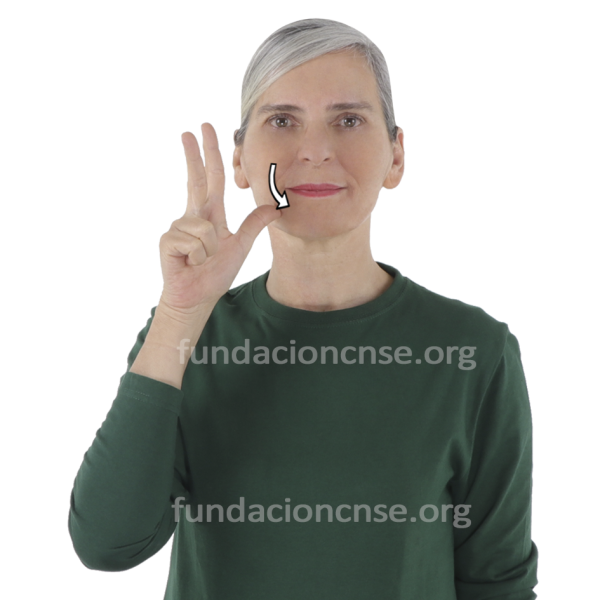 Nombre del artista Edward Hopper en Lengua de Signos Española Signado del nombre Edward Hopper en Lengua de Signos Española