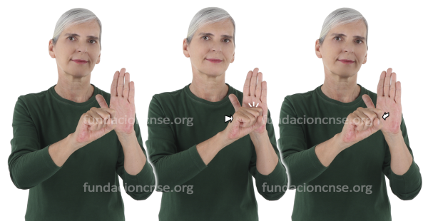 Signado de la palabra icono en Lengua de Signos Española