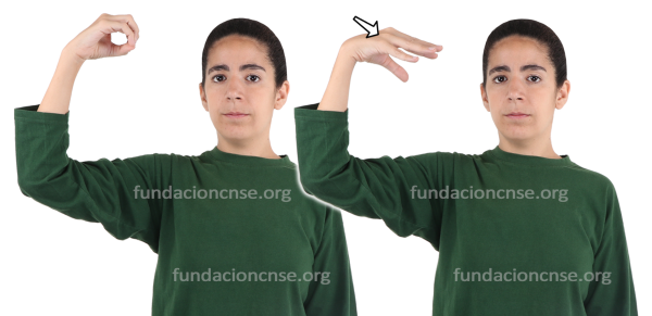 Ilustración en Lengua de Signos Española Signado de la palabra Ilustración en Lengua de Signos Española