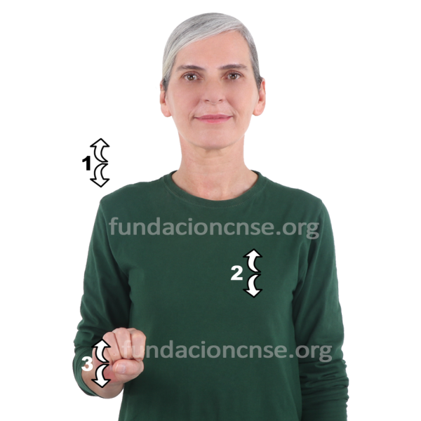 Impresionismo en Lengua de Signos Española Signado de la palabra Impresionismo en Lengua de Signos Española