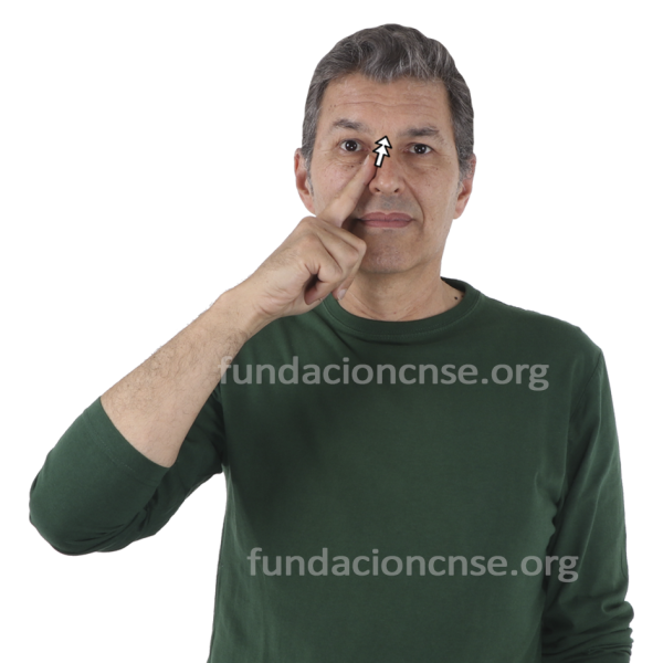 Nombre del artista Ernst Ludwig Kirchner en Lengua de Signos Española Signado del nombre Ernst Ludwig Kirchner en Lengua de Signos Española