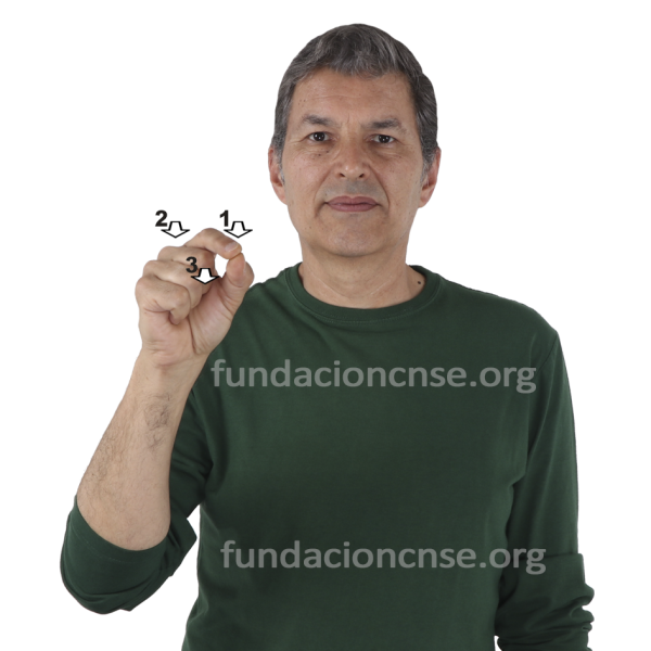 Nombre del artista Roy Lichtenstein en Lengua de Signos Española Signado del nombre Roy Lichtenstein en Lengua de Signos Española