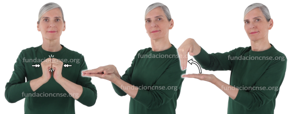 Litografía en Lengua de Signos Española Signado de la palabra litografía en Lengua de Signos Española