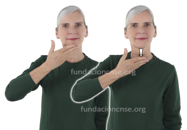 Nombre del artista René Magritte en Lengua de Signos Española Signado del nombre René Magritte en Lengua de Signos Española