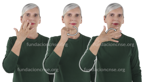 Nombre del artista Henri Matisse en Lengua de Signos Española Signado del nombre Henri Matisse en Lengua de Signos Española