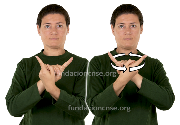 Metamorfosis en Lengua de Signos Española Signado de la palabra metamorfosis en Lengua de Signos Española