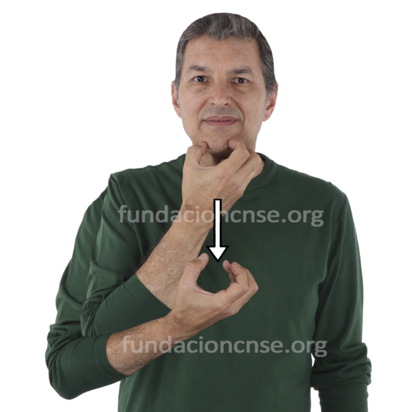 Nombre del artista Claude Monet en Lengua de Signos Española Signado del nombre Claude Monet en Lengua de Signos Española