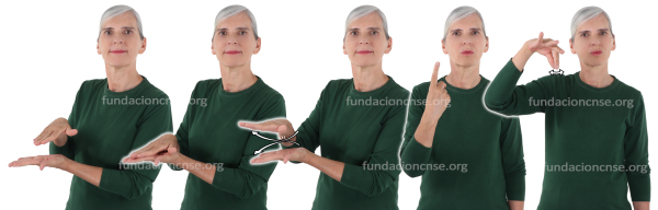 Monotipo en Lengua de Signos Española Signado de la palabra monotipo en Lengua de Signos Española