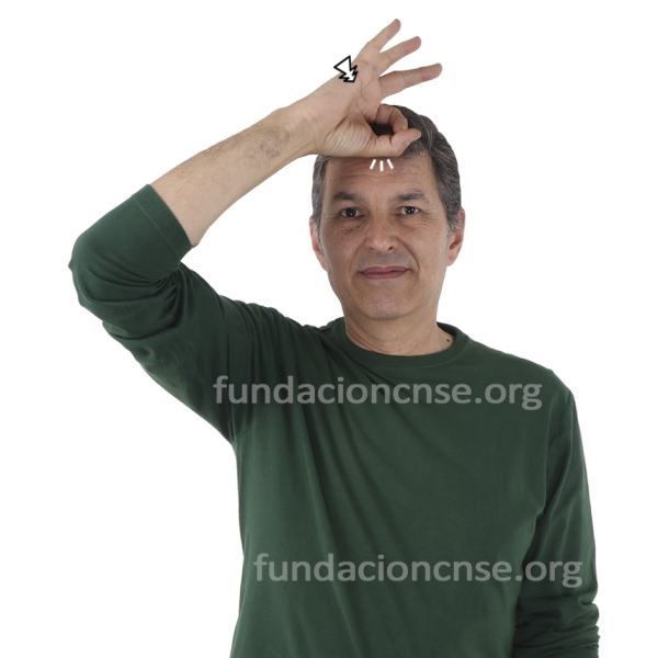 Nombre del artista Edvard Munch en Lengua de Signos Española Signado del nombre Edvard Munch en Lengua de Signos Española