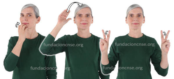 Neoclacisismo en Lengua de Signos Española Signado de la palabra Neoclacisismo en Lengua de Signos Española